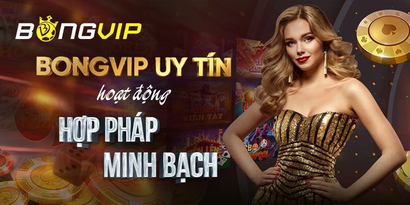 Soco88 mang đến một số lợi ích hấp dẫn cho người chơi cá cược - Soco88