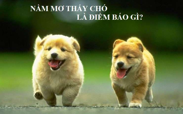 Tại sao việc biết cách nạp tiền vào tài khoản 79Win lại quan trọng? - 79Win