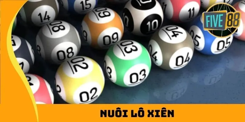 Câu hỏi thường gặp - Các vấn đề thường gặp liên quan đến trang web Cổng thông tin trò chơi Qh888 - Qh888