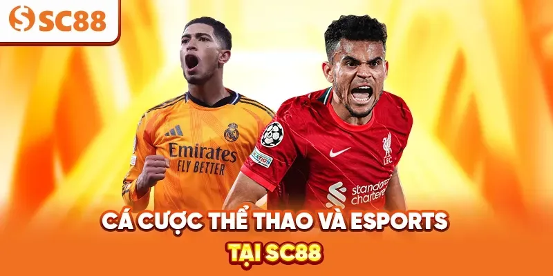 Đánh giá tổng thể Bigboss - Bigboss