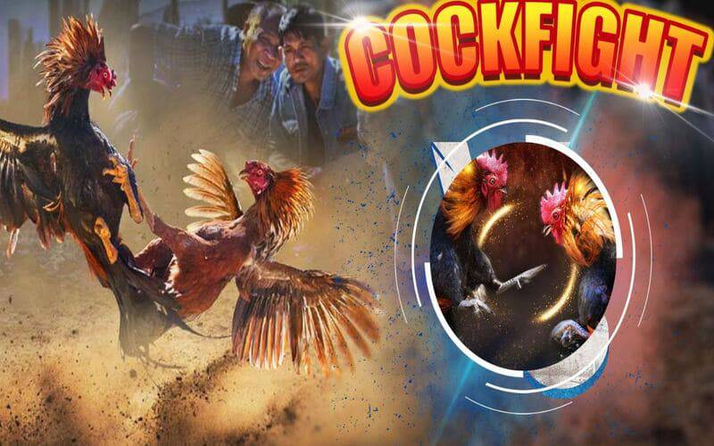 Đánh giá tổng thể của trang web chơi game trực tuyến cấp độ 789P - 789P
