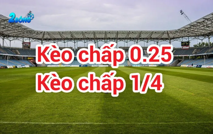 Go99 là trang web cá cược bóng đá phổ biến nhất tại Hoa Kỳ - Go99