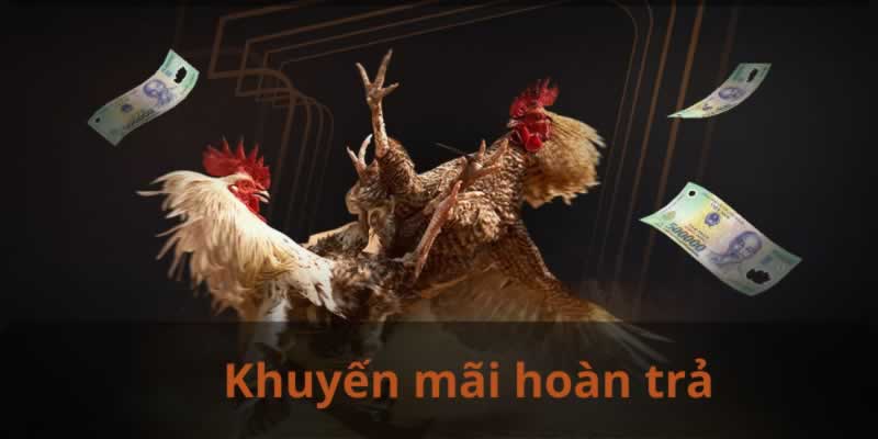 Betvip tập hợp tất cả các khu cắm trại nổi tiếng và được yêu thích - Betvip