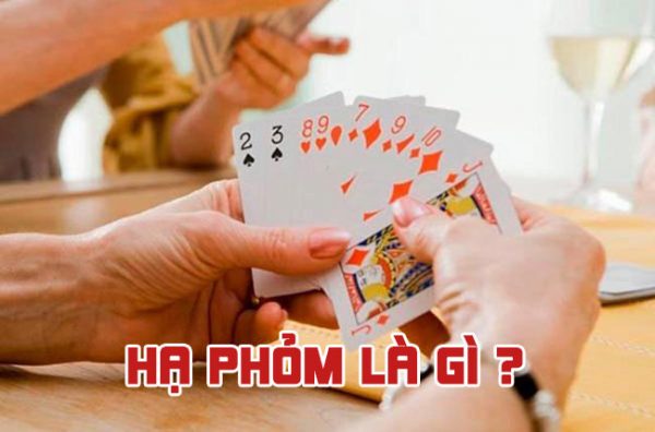 Tải xuống hướng dẫn sử dụng ứng dụng Vin77 trên thiết bị iOS và Android - Vin77