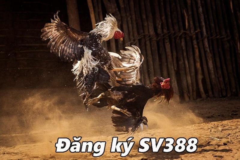 Các bước đăng ký 79Win nhanh chóng trên điện thoại di động của bạn - 79Win