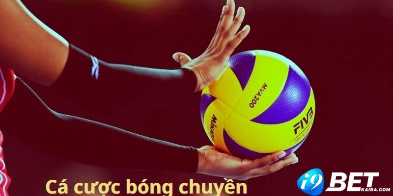 Max88 là một trò chơi xúc xắc tuyệt vời, nơi bạn thậm chí có thể thắng tiền! - Max88
