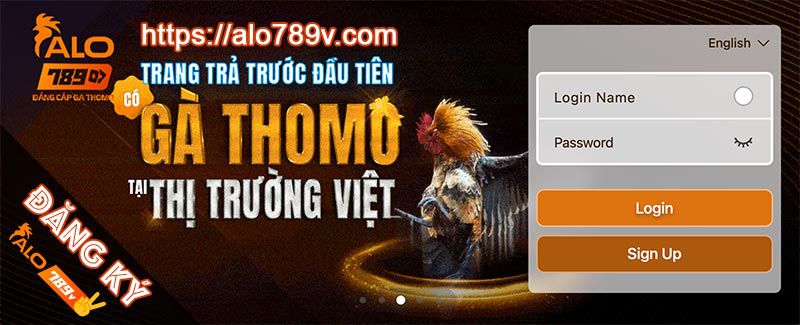 Quy tắc và quy định thi đấu bóng chuyền của Công ty 2Q Games - 2Q